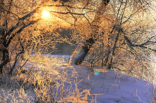 Magische Schneelandschaft eine goldene Sonne