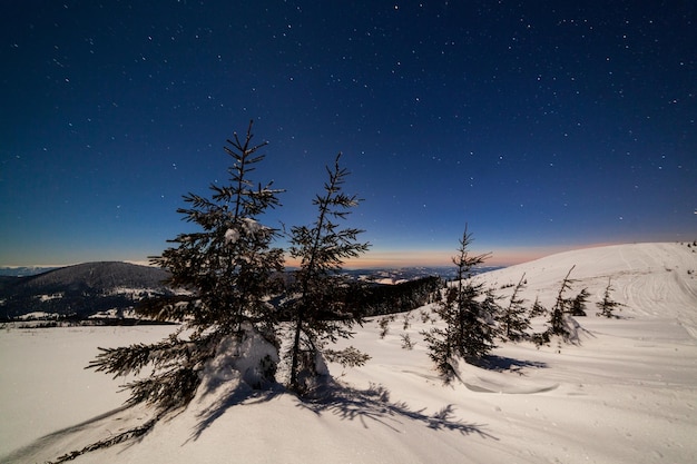 Magische Winterlandschaft mit schneebedeckten Bäumen Lebendiger Nachthimmel mit Sternen und Nebel und Galaxie Deep-Sky-Astrofoto