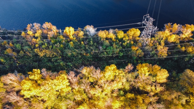 Magischer Herbstwald von oben nach unten Antenne über dem Hochspannungsmast des Flusses