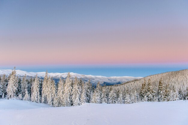 Magischer schneebedeckter Winterbaum