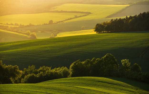 Magischer Sonnenuntergang in Südmähren Ackerland