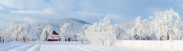 Magischer Winterschnee bedeckte Baum