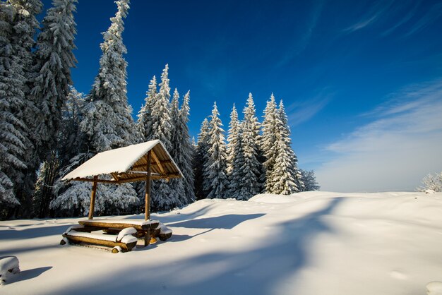 Magischer Winterschnee bedeckte Baum