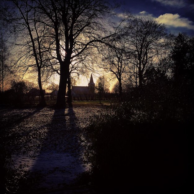 Foto magleby-kirche im park bei sonnenuntergang