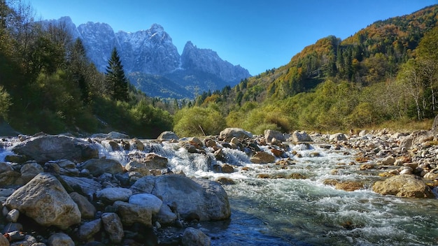 Magnífica paisagem montanhosa com um riacho que flui sob um pico coberto de neve rodeado por pinheiros.