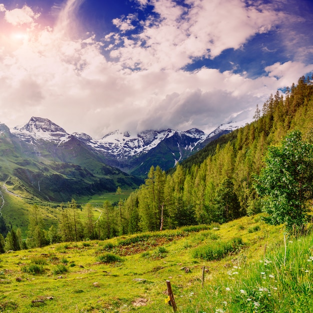 Magnifica vista de los Alpes