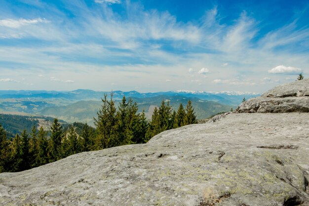 Magnífica vista panorâmica da floresta de coníferas nas poderosas montanhas dos Cárpatos