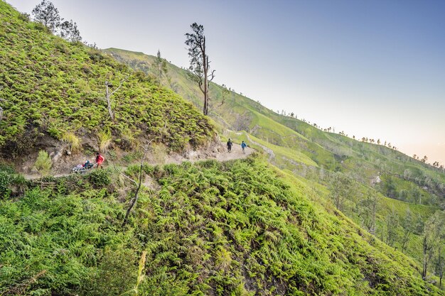 Foto las magníficas vistas de las montañas verdes desde una carretera de montaña hasta el volcán ijen o kawah