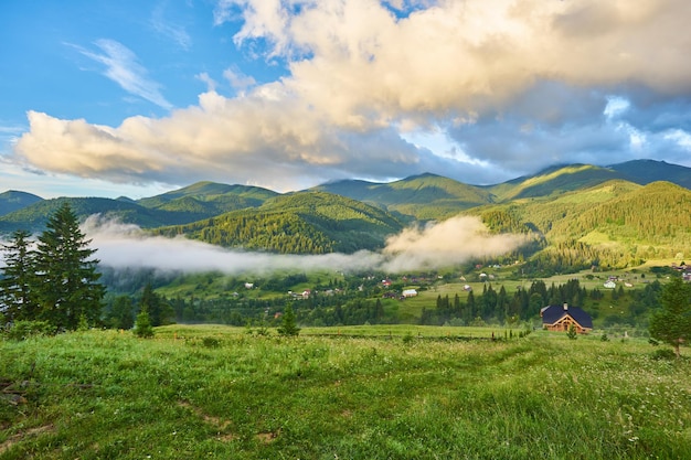 Magnífico amanecer brumoso en las montañas de los Cárpatos, hermoso paisaje de verano del distrito de Volovets, flores moradas en prados de hierba y colinas boscosas en la niebla