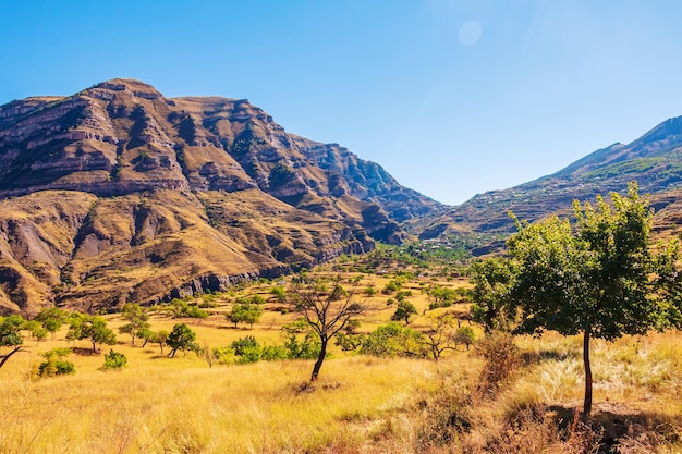 Magnífico paisaje de montaña en un día soleado