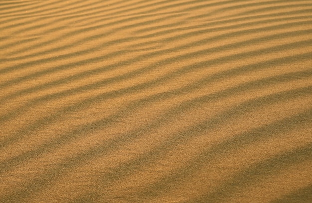Magnífico patrón de ondulación de arena del desierto de Huacachina en la provincia de Ica en Perú