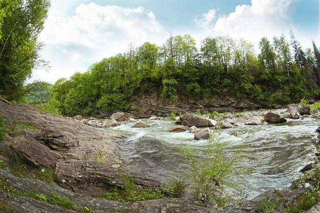 Magnífico rio de montanha de perto