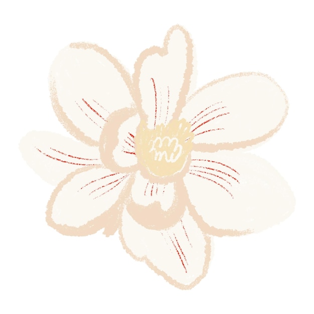Magnolia png pegatina de flor ilustración en blanco