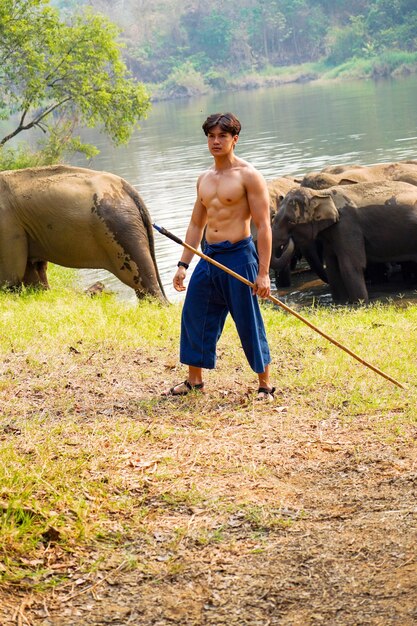 Mahout bonito asiático com corpo perfeito atuando no rebanho de fundo de elefantes asiáticos