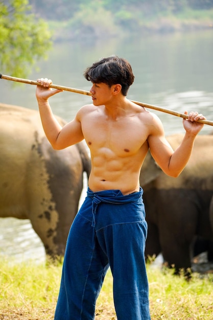 Mahout bonito asiático com corpo perfeito atuando no rebanho de fundo de elefantes asiáticos