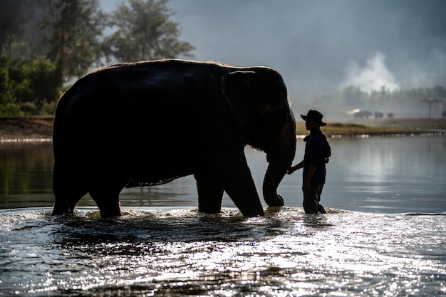 Mahout em pé com seu elefante no rio.