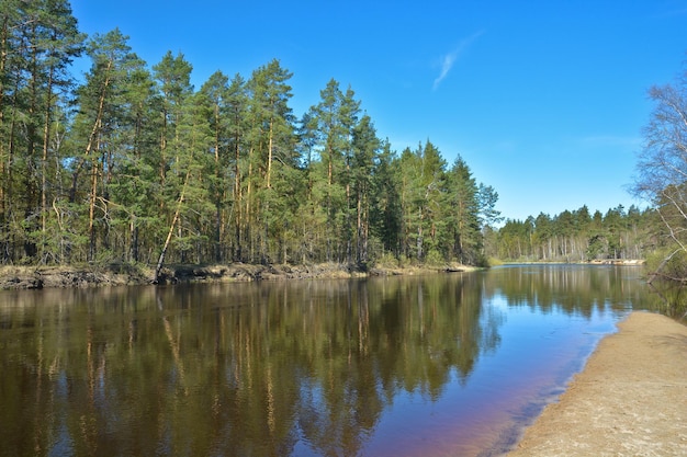 Mai am Waldfluss