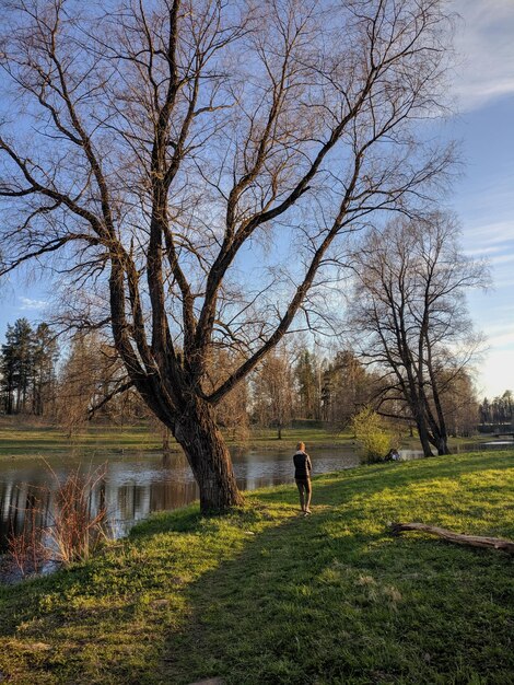 Foto maiabend am see