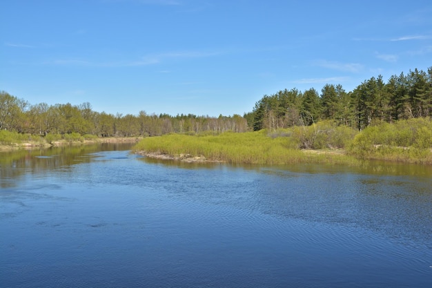 Maimorgen am Waldfluss