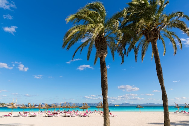 Maiorca platja de alcudia praia em maiorca