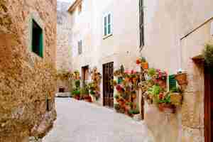 Foto maiorca valldemossa típico com vasos de flores na fachada