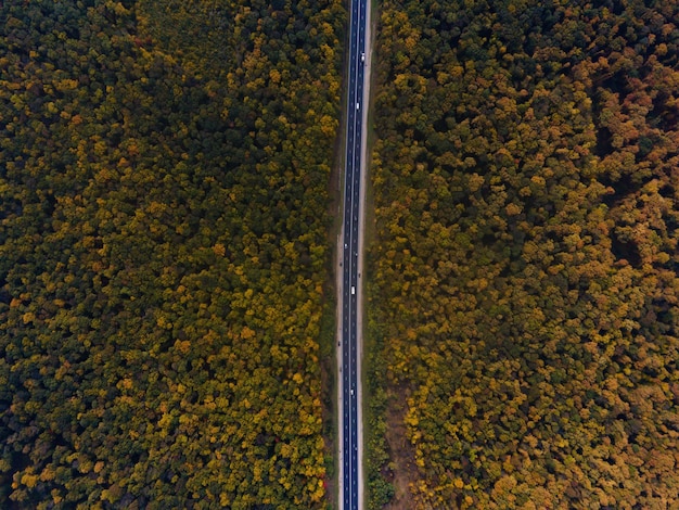 Mais carros na estrada Estrada entre a floresta