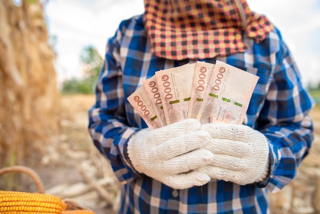 Maisbauern halten thailändische Banknoten im Wert von 5000 Baht Concept Farmer erhalten staatliche Zuschüsse