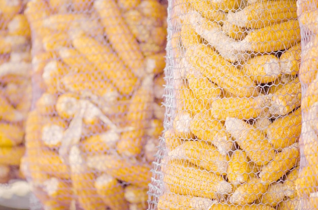 Maiskolben im Netzbeutel werden auf dem Bauernhof ausgetrocknet Industrielle Maisproduktion