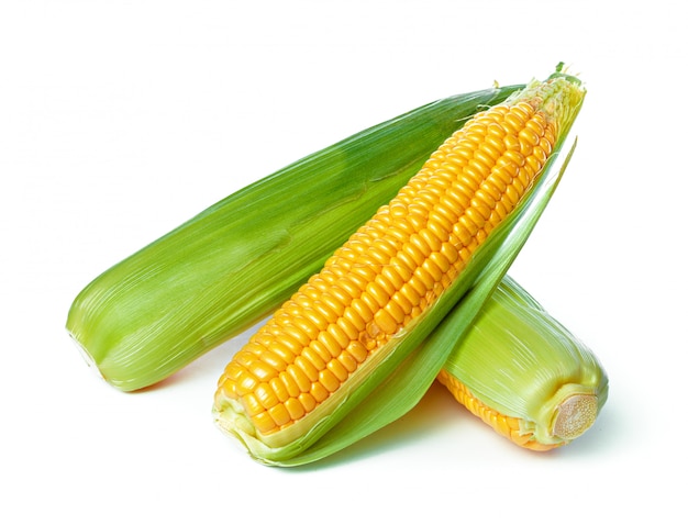 Foto maíz aislado sobre fondo blanco.