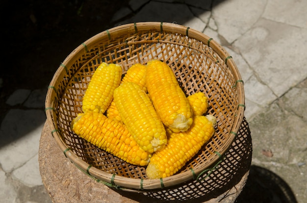 Maíz amarillo dorado fresco asado