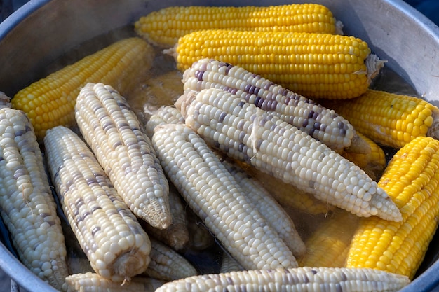 Maíz blanco y amarillo hervido a la venta en el mercado de comida callejera en Tailandia cerrar