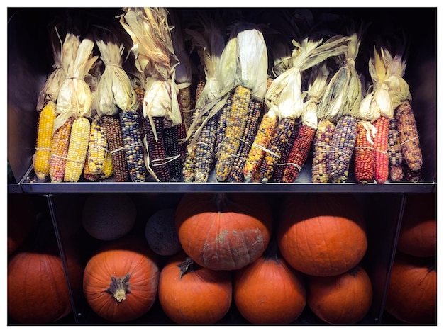 Foto maíz y calabazas en estantería