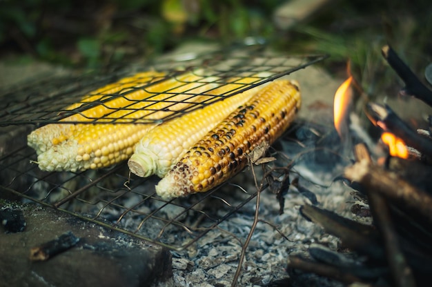 maíz cocido en la naturaleza en una barbacoa