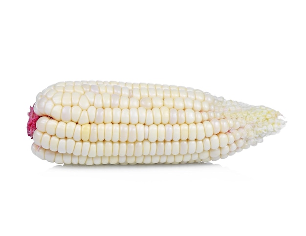 Foto maíz fresco aislado sobre fondo blanco.