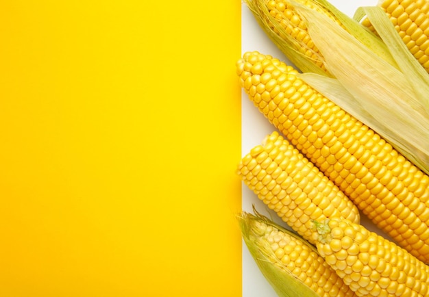 Foto maíz fresco en mazorcas sobre fondo blanco y amarillo