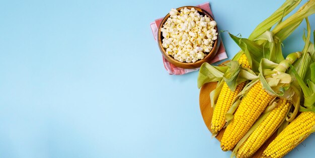 Maíz en la mazorca palomitas de maíz en un fondo azul Tema cultivo de maíz agro cosecha Copyspace