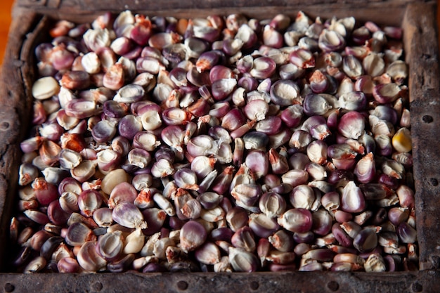 Maíz morado orgánico en una caja de madera maíz tradicional mexicano