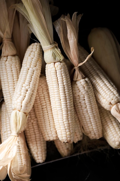 Maíz pegajoso blanco (maíz ceroso), Jagung Ketan de Lombok, Indonesia