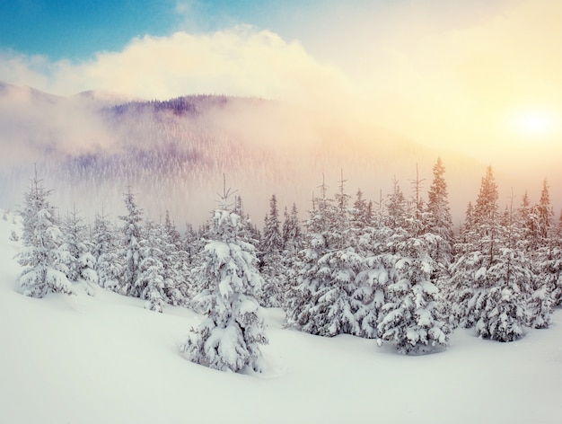 Majestätische berge der geheimnisvollen landschaft im winter.
