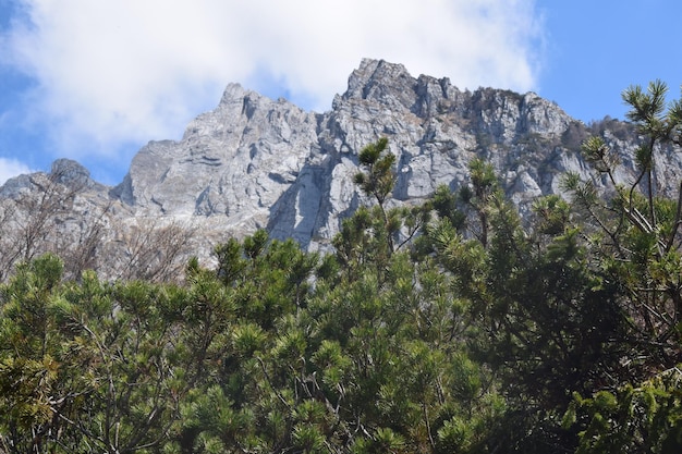 Foto majestätische berge