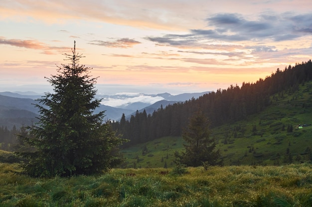 Majestätische Karpaten Wunderschöne Landschaft unberührter Natur