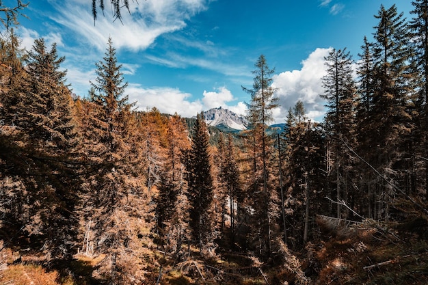 Majestätische Landschaft des Dolomitensees Sorapis mit bunten Lärchen und hohen Bergen Wunderbare Wandernaturlandschaft in den Dolomiten Italiens in der Nähe von Cortina d'Ampezzo