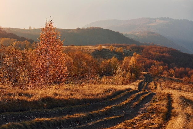 Majestätische Landschaft mit Herbstbäumen und Bergen am Horizont