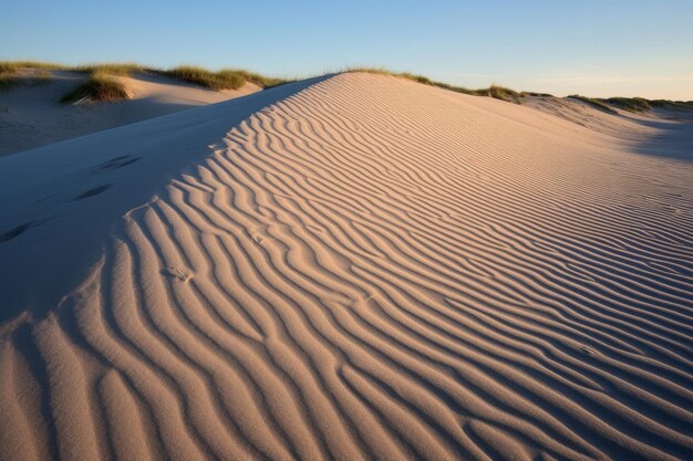 Foto majestätische sanddünen, die mit grünem gras bedeckt sind