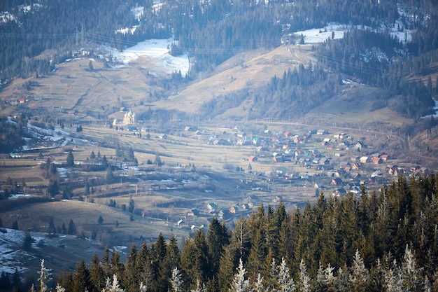 Majestätische weiße Fichten, die durch Sonnenlicht leuchten Malerische und wunderschöne winterliche Szene Standort Ort Karpaten-Nationalpark Ukraine Europa Alpen-Skigebiet Blue toning Happy New Year Schönheitswelt