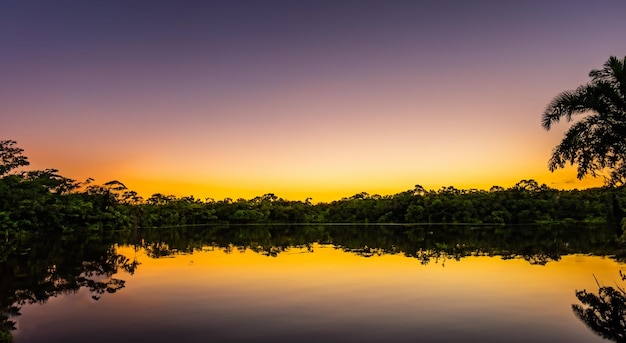 Majestätischer Amazonas-Fluss mit einem wunderschönen Sonnenuntergang im Hintergrund in hoher Auflösung und Schärfe