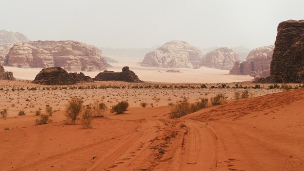 Majestätischer Blick auf die Wüste Wadi Rum, Jordanien, das Tal des Mondes