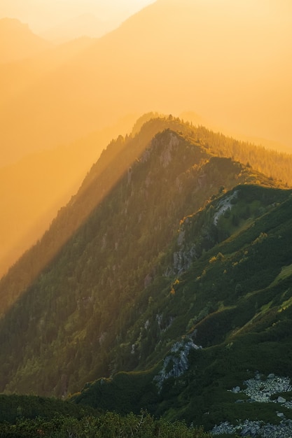 Majestätischer goldener Sonnenuntergang mit sonnigen Strahlen in der großen Berglandschaft. Nationalpark der Hohen Tatra, Polen