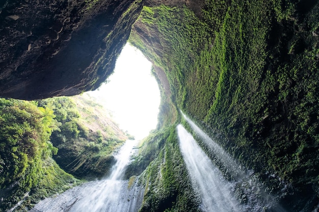 Majestätischer Wasserfall, der auf felsige Klippe im tropischen Regenwald fließt