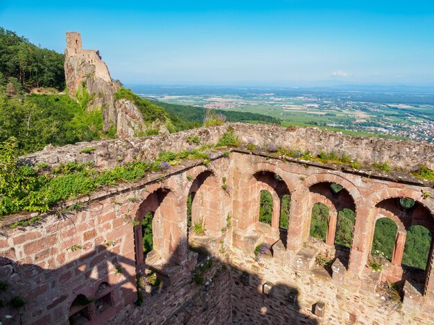 Majestätisches mittelalterliches Schloss SaintUlrich auf der Spitze des Hügels Elsass Frankreich